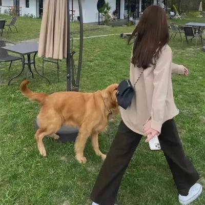 克罗克罗